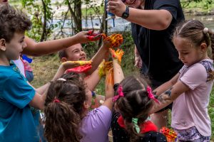 a group of children in a wooded area doing team building activities