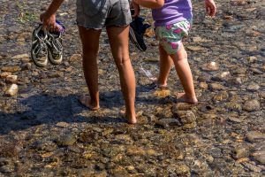 two pairs of legs wading through a clear stream